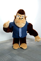 Gordon G